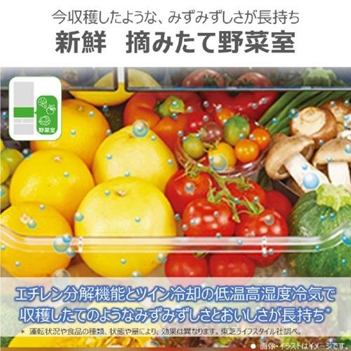 TOSHIBA（東芝） 東芝冷蔵庫 509L 6ドア 観音開き VEGETA サテン