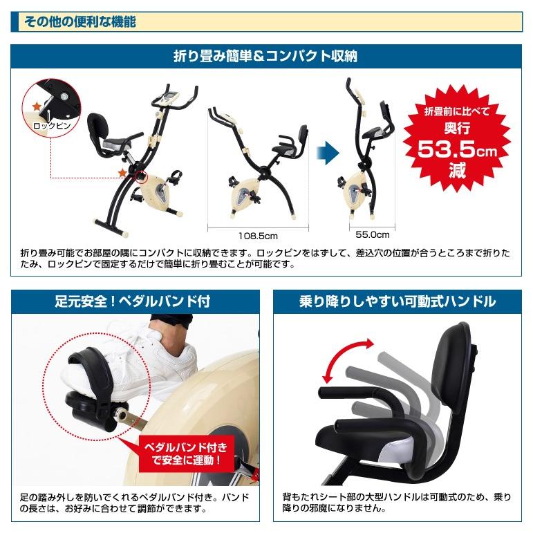 フィットネスバイク コンフォートバイク ALINCO AFB4419C 