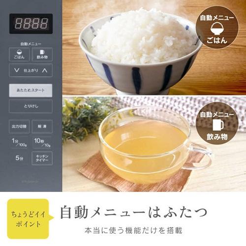 ZEPEAL（ゼピール） 電子レンジ 23L 縦開き ヘルツフリー フラット DFR