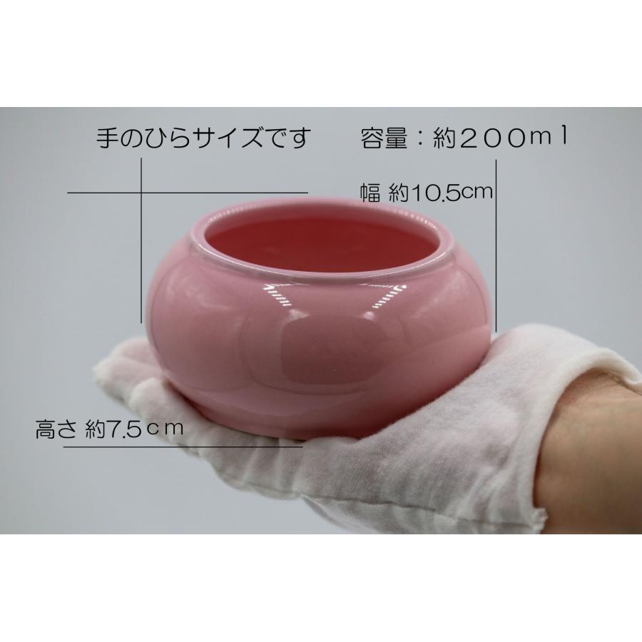 小さめ骨壺 遺骨 遺毛 遺灰 メモリアル 供養 手のひらサイズ 200ml ペット 犬 猫 うさぎ フェレット かわいい シンプル 陶器製 |  | 05
