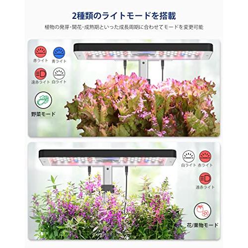 iDOO　イドー　水耕栽培セット　おしゃれ　家庭菜園　Wi-Fi　観葉植物　水耕栽培キット　植木鉢　自動散水　アプリ対応　野菜栽培セット　遠隔操作　プランター　室内　イ　発芽