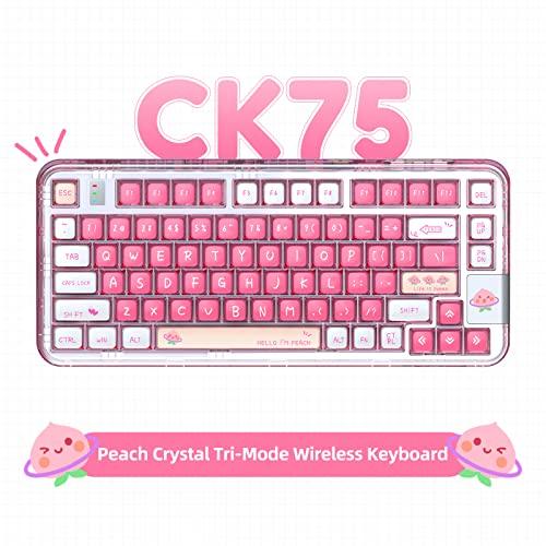 YUNZII Coolkiller CK75 無線 ホットスワップメカニカルキーボード 透明アクリル ガスケット装着 ワイヤレス キーボード Windows/Mac用(Meow Switch，ピーチピン Bluetooth