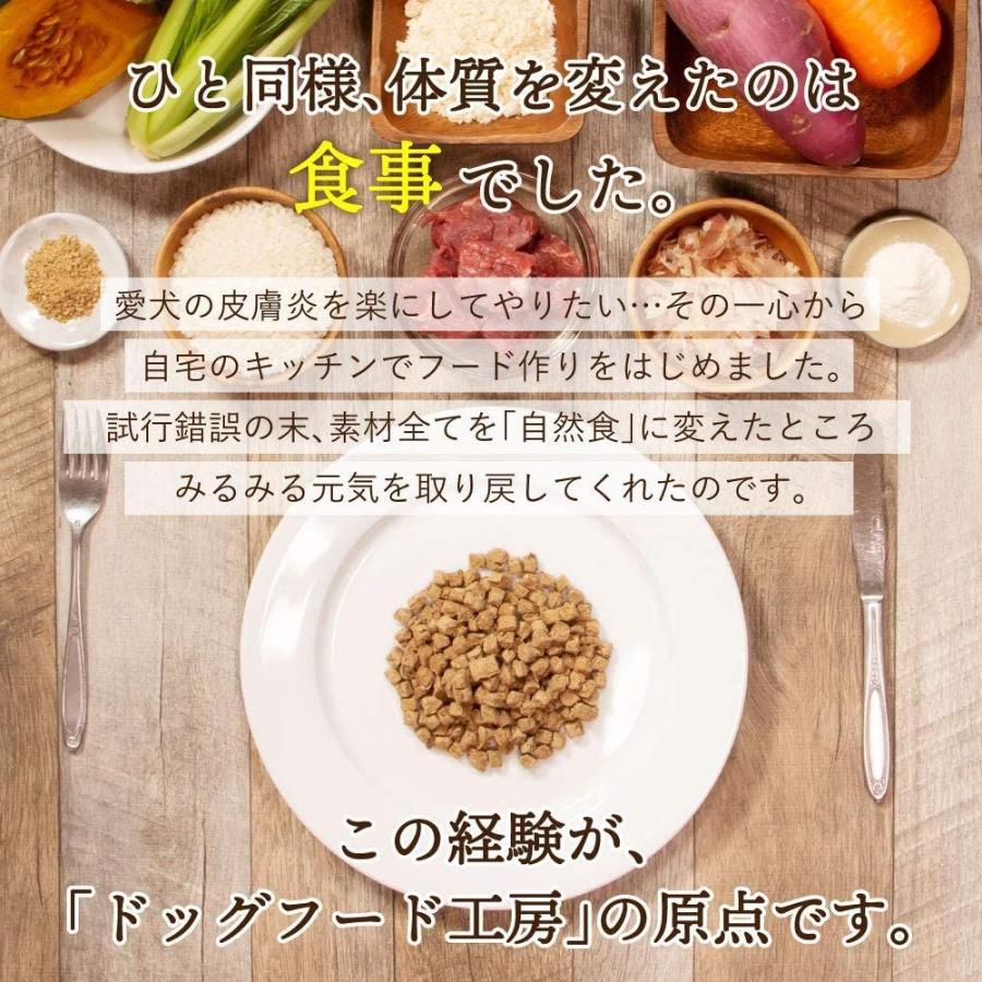 熱い販売 ドックフード工房 無添加 国産 選べる3袋セット ドライフード 野菜畑小粒750g 3袋 ペットフード シニア 成犬用 小型犬 Fundaterapia Com