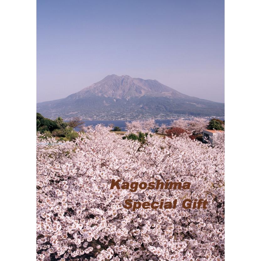 鹿児島スペシャルギフト ギフト 鹿児島ギフト 贈答 プレゼント 贈り物 お歳暮 お中元 鹿児島特産品 |  | 02
