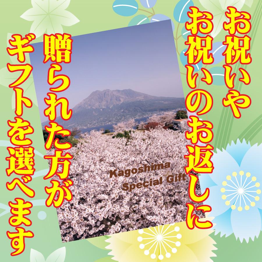 鹿児島スペシャルギフト ギフト 鹿児島ギフト 贈答 プレゼント 贈り物 お歳暮 お中元 鹿児島特産品 |  | 03