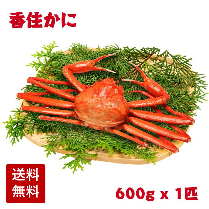玄関先迄納品 富山県産 紅ズワイガニ 2匹 冷凍ボイル 特大サイズ tdh