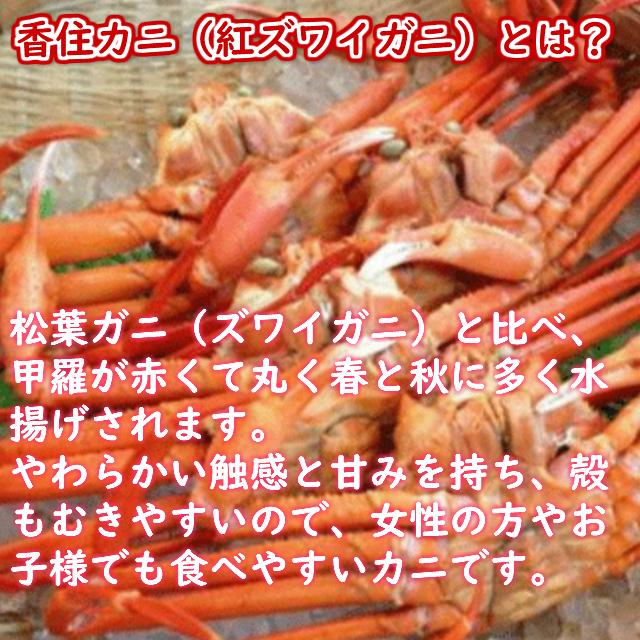 紅ズワイガニ 香住カニ 茹で姿 香住かに 紅ずわいがに 特大サイズ 800g前後 X 2匹 茹でたて 産地直送 送料無料 お取り寄せ プチ贅沢 ご褒美 Kb 800 02y 最高鮮度にこだわったプレミアムコーヒークラブ 通販 Yahoo ショッピング