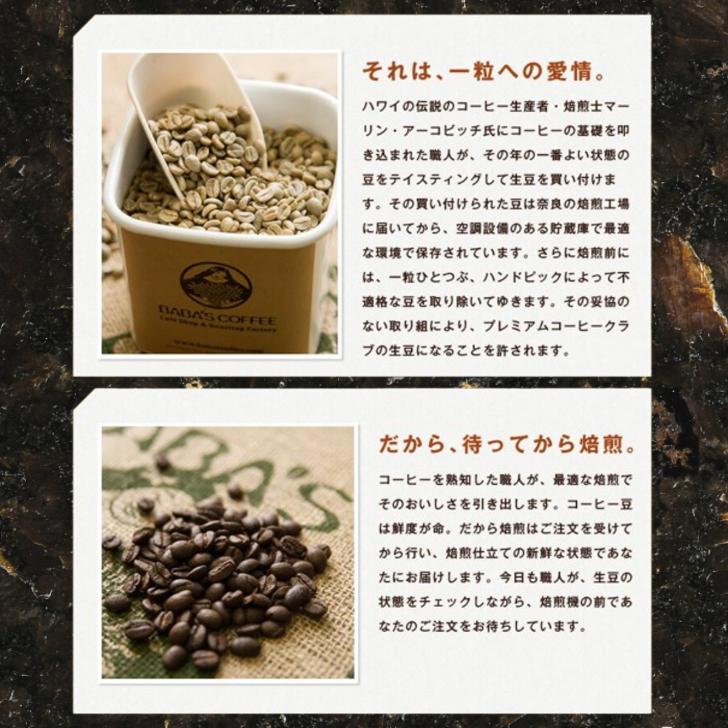 ブルーマウンテンブレンド　コーヒー豆　500g 珈琲豆 最高鮮度 ブルーマウンテンブレンド 500g コーヒー豆