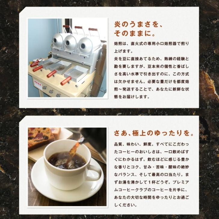 珈琲豆 最高鮮度 ブルーマウンテンブレンド 500g コーヒー豆