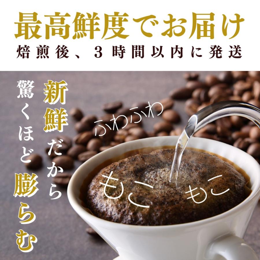 コーヒー豆 お試し 最高鮮度 ハワイコナコーヒー 20g : 最高鮮度の珈琲