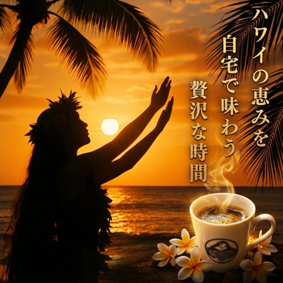 コーヒー豆 お試し 最高鮮度 ハワイコナコーヒー 20g : 最高鮮度の珈琲