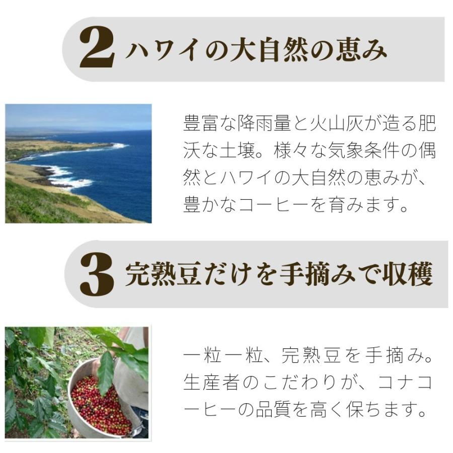 ハワイコナコーヒー 90g コーヒー豆 最高鮮度 100% : 最高鮮度の珈琲豆