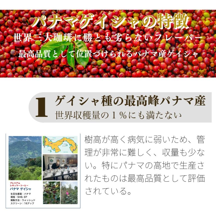お試し コーヒー豆 最高鮮度 パナマゲイシャ 90g : 最高鮮度の珈琲豆