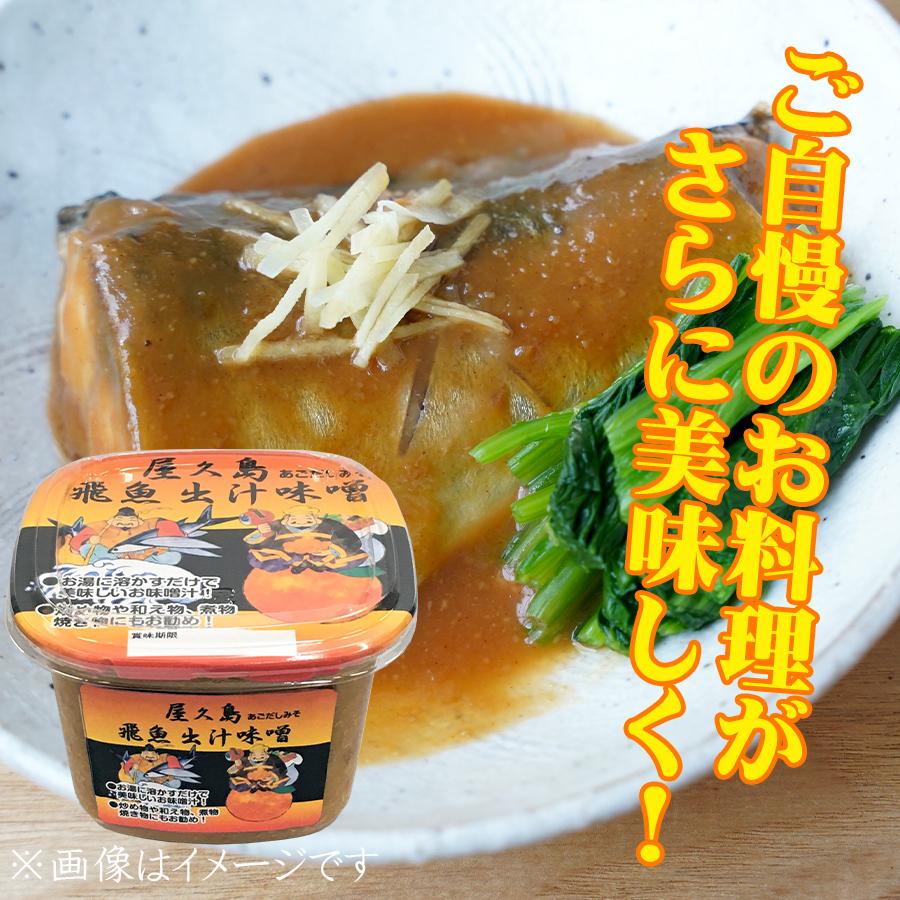 味噌 合わせ味噌 鹿児島 出入り味噌 あごだし入り 美味しい味噌 屋久島