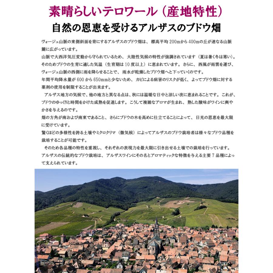 即日出荷　ロゼワイン　ピノノワール　７５０ｍｌ　アルザスワイン　 日本初上陸　希少　ワイン　ギフト　誕生日　送料無料｜babel22｜07