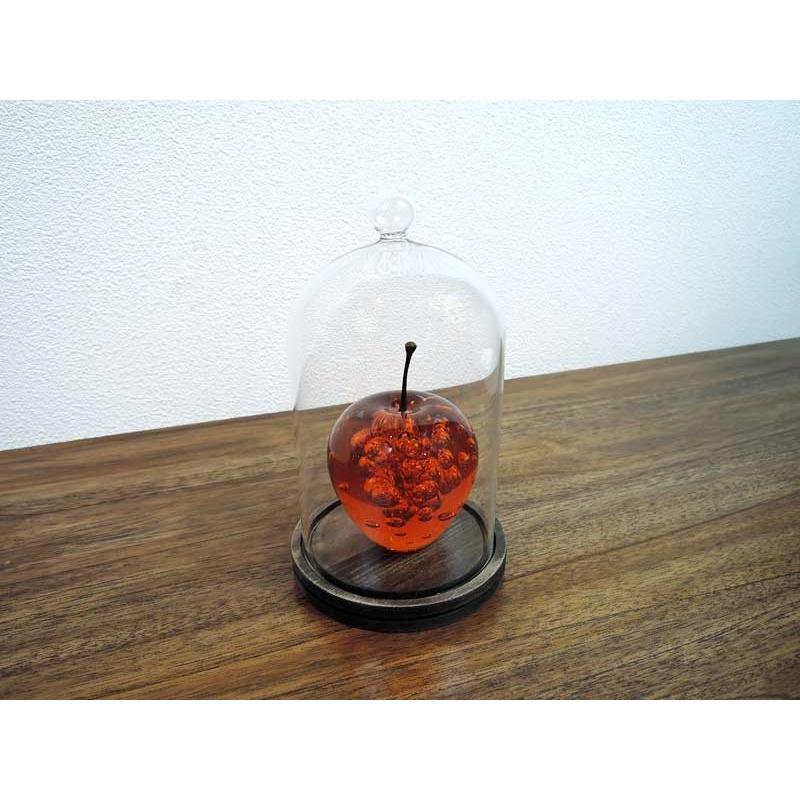 プロジェクション コレクションドーム ガラスドーム グラス ショー