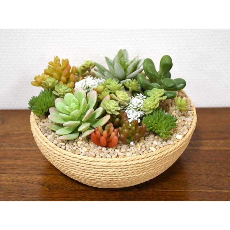 フェイクグリーン 多肉植物 造花 卓上 バスケット 植物 人工観葉植物 インテリア ナチュラル おしゃれ Ct触媒 消臭 防汚 抗菌 アジアン Rkh 416 Babi Furniture 通販 Yahoo ショッピング