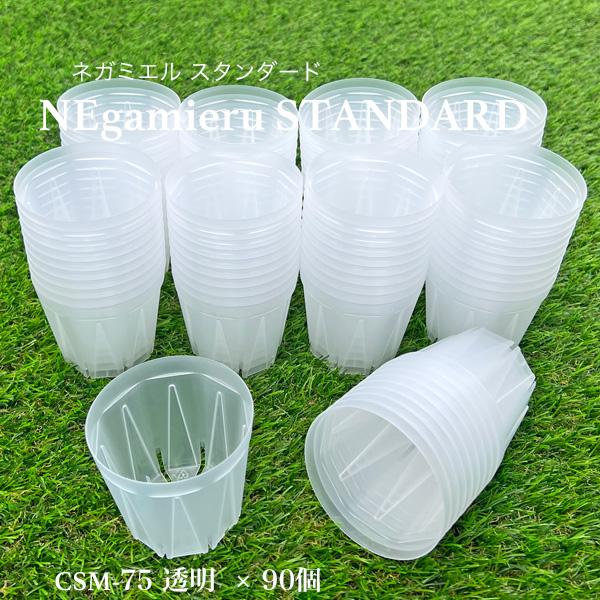 ネガミエルスタンダード 2.5号鉢 90鉢セット NEgamieru STANDARD 浅岡