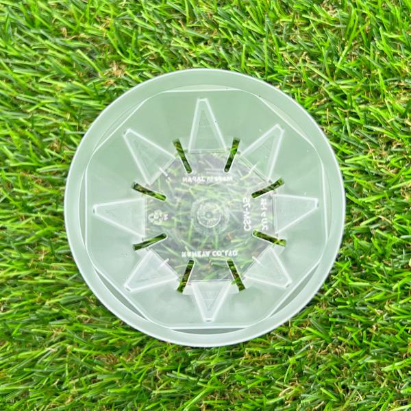 ネガミエルスタンダード 2.5号鉢 90鉢セット NEgamieru STANDARD 浅岡