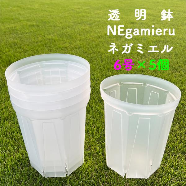 ネガミエル 6号ロングスリット鉢 5個セット 半透明 NEgamieru 浅岡園芸