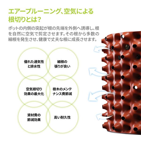 ルートプラスポットミニ 3L 5号サイズ 植木鉢 通気性 排水性