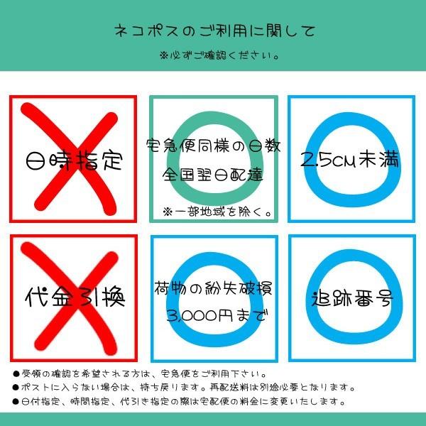 新幹線 ボールペン 鉄ペン ゼブラ 筆記用具 鉄道 電車 グッズ 筆記用具 ステーショナリー ネコポス可｜babu｜04