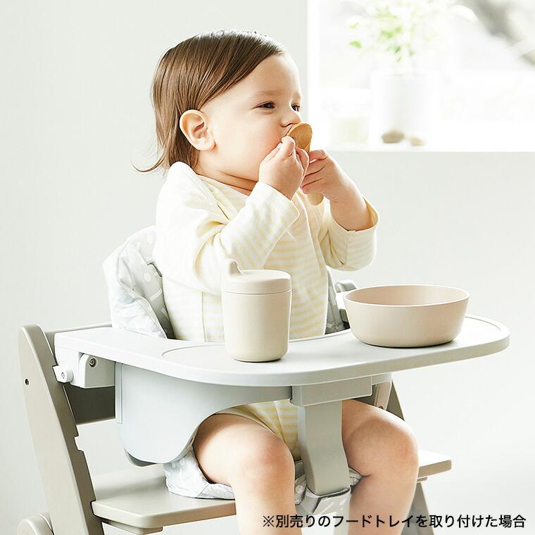 MOJI イッピー専用 スターター・セット（ハーネスなし） （送料無料