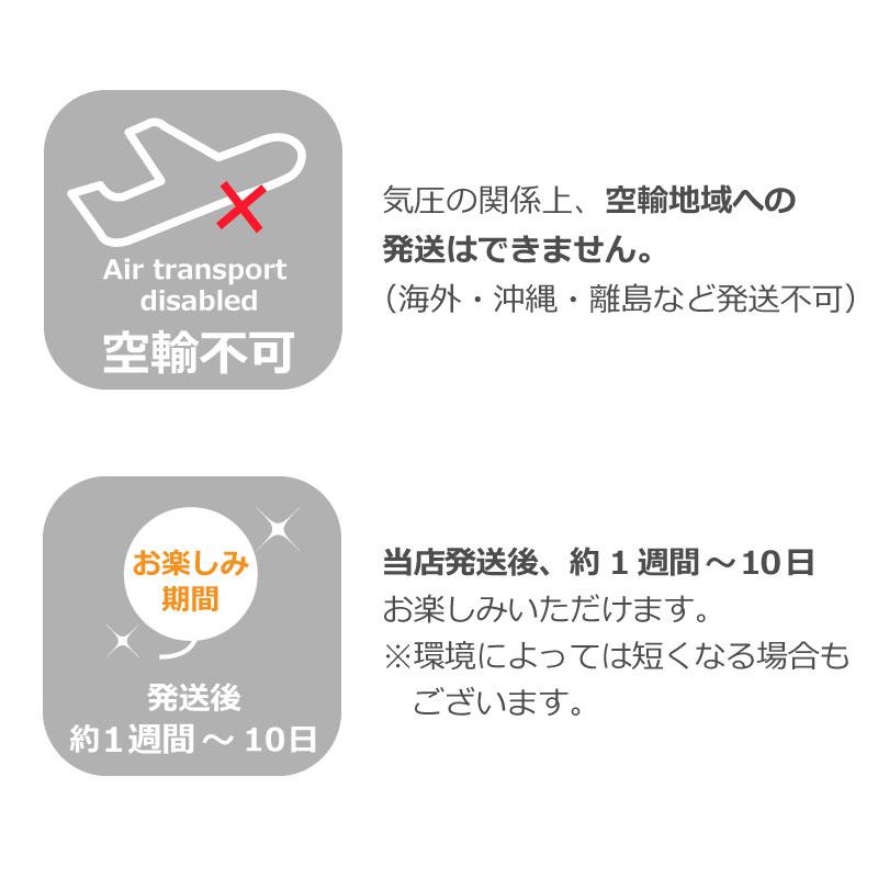 バルーン 誕生日 結婚式のバルーン 電報 おしゃれ ギフト 結婚祝い 送料無料 開店祝い くすみカラー ニュアンスカラー浮くバルーンアレンジ｜baby-arte｜25