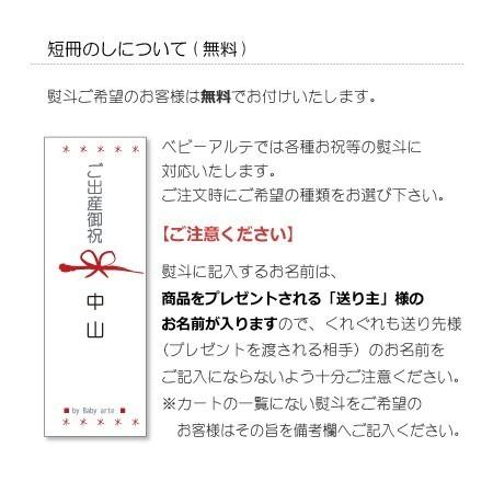 出産祝い Disney ディズニー セサミストリート プロップマット 誕生日祝 プレゼント エルモ ミニー プレイマット Bt 8 おむつケーキ 出産祝い Baby Arte 通販 Yahoo ショッピング