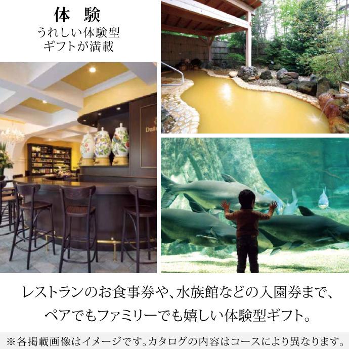 カタログギフト リンベル プレゼンテージ ビオラ 5000円 コース カタログギフト ビオラ Cr 11 おむつケーキ 出産祝い Baby Arte 通販 Yahoo ショッピング