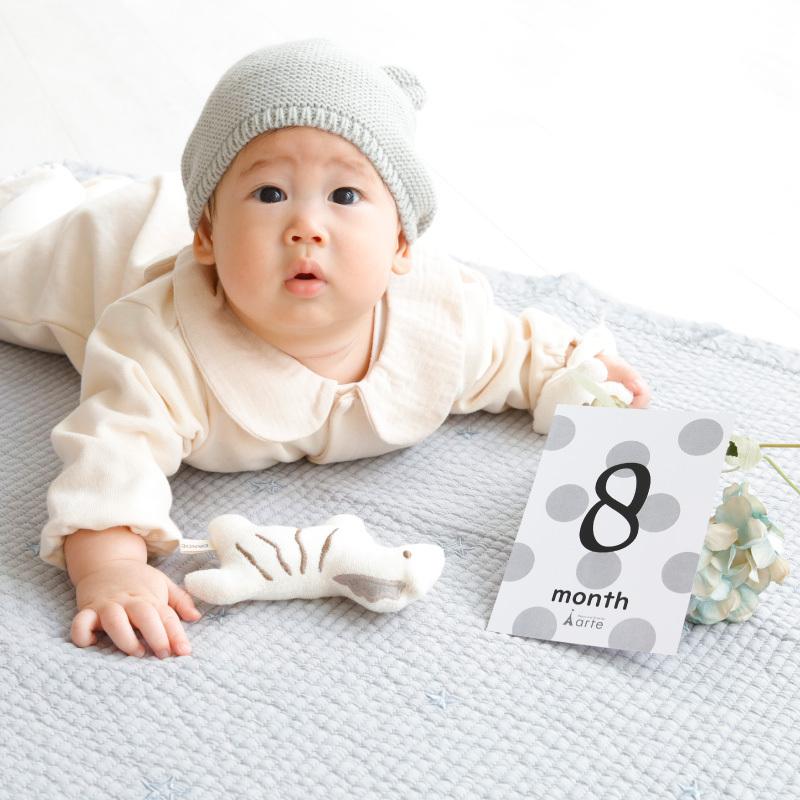 出産祝い 月齢カード 記念日 マンスリーカード ベビー 男の子 女の子 月齢フォト 誕生日 100日 ベビーマンスリーカード Mca 1 おむつケーキ 出産祝い Baby Arte 通販 Yahoo ショッピング