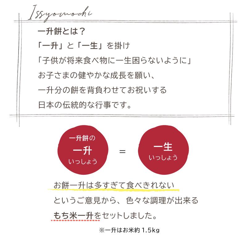 一升餅 リュック ギフトセット 米 小分け 一升米 1歳 誕生日 飾り付け 名入れ 送料無料 背負い餠 記念日 ファーストバースデー Pty 13 おむつケーキ 出産祝い Baby Arte 通販 Yahoo ショッピング