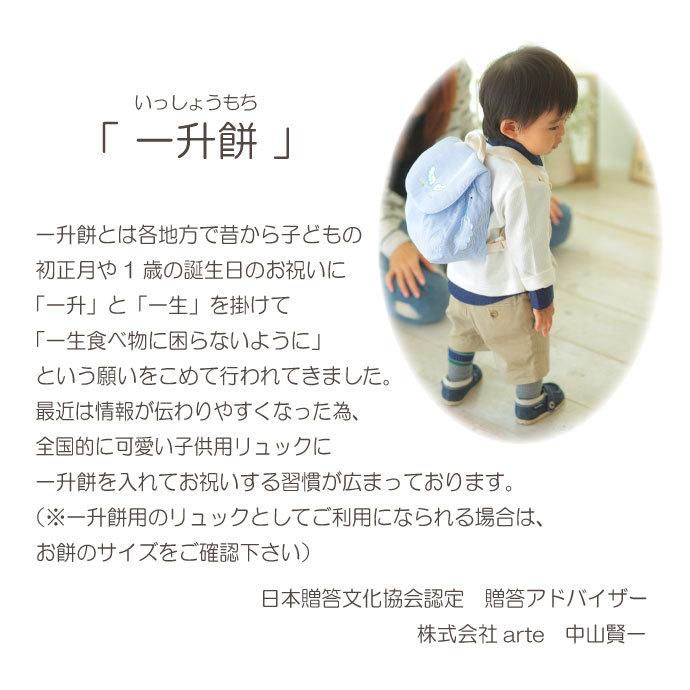 天使の背まもり ネームタグ付 ベビーリュック 出産祝い プレゼント 一升餅 初節句 背まもりリュック Tr 1 おむつケーキ 出産祝い Baby Arte 通販 Yahoo ショッピング