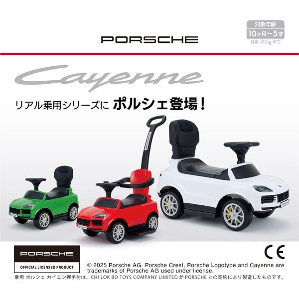 乗用ポルシェ カイエン 押手付 ホワイト 2530 野中製作所（WORLD） 【沖縄及び離島発送不可】の画像