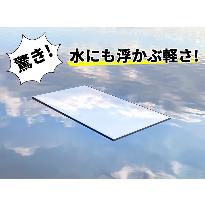レビュー特典あり 割れない鏡 ブリセーフ brisafe 壁掛け 姿見