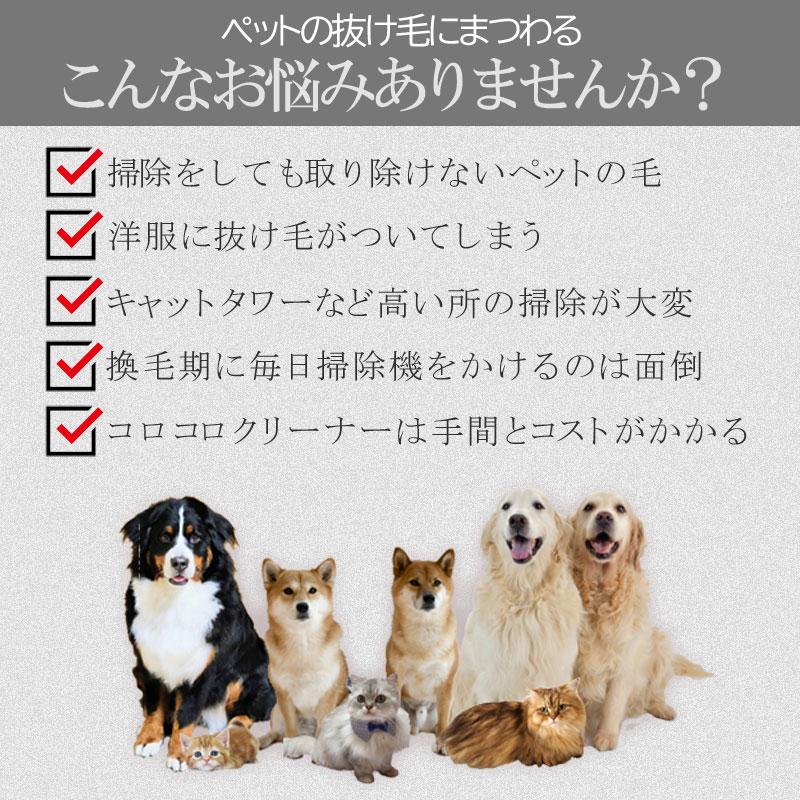 カーペットクリーナー 毛玉取り 毛玉とり ペット ブラシ 2本セット 抜毛 猫の毛 犬の毛 ペット用品 簡単 掃除 軽い キャットタワー