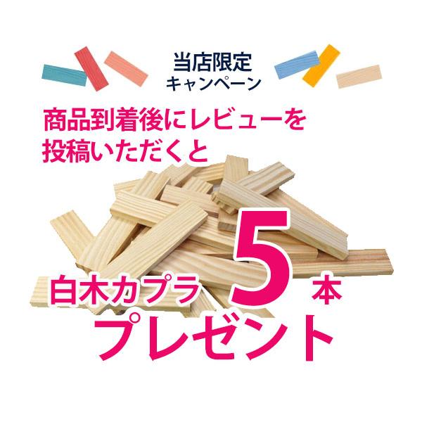 KAPLA（カプラ） オクトカラー 豪華特典あり 正規品 8色 全100枚