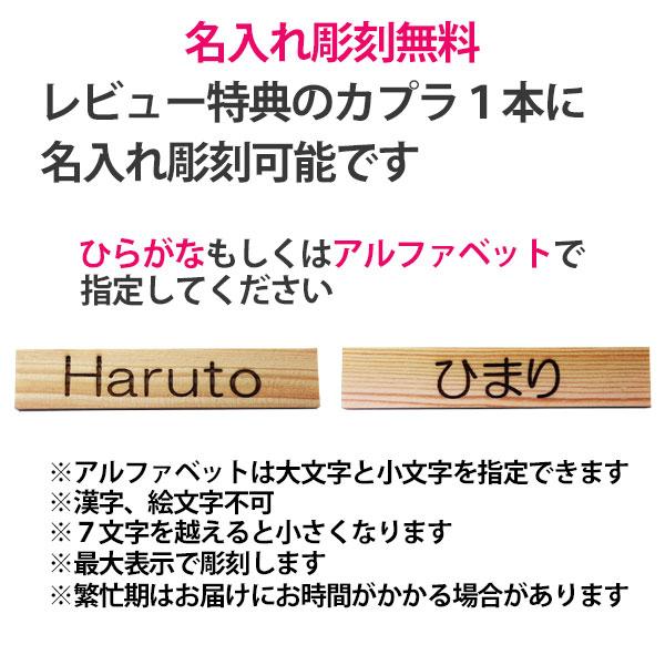 KAPLA 豪華特典あり 正規品 カプラ100 KAPLA100 白木100枚 KAPLA 豪華特典あり 正規品 カプラ100 KAPLA100 白木100枚