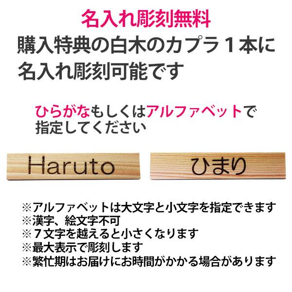 KAPLA（カプラ） カプラ200 KAPLA200 白木200枚 正規品 豪華特典あり