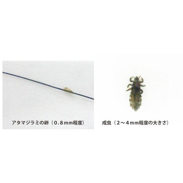 アタマジラミ 頭しらみ 電動シラミ駆除櫛 くし ライスコーム : ベビー