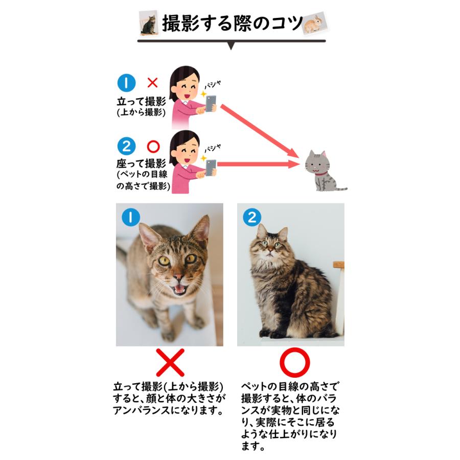 Tahamayoページ！！オーダークッション！！ 2305181.jpg