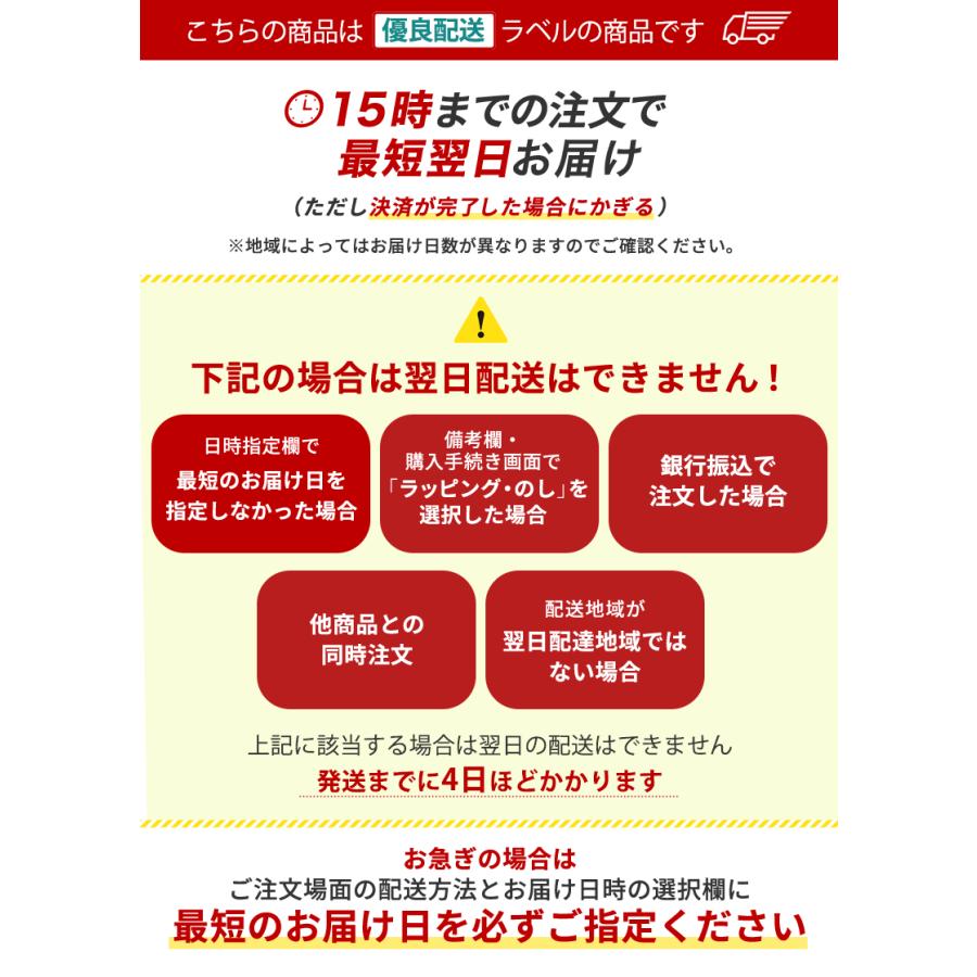 恐竜好き集まれ！恐竜 ロボット おもちゃ RC ラプトル