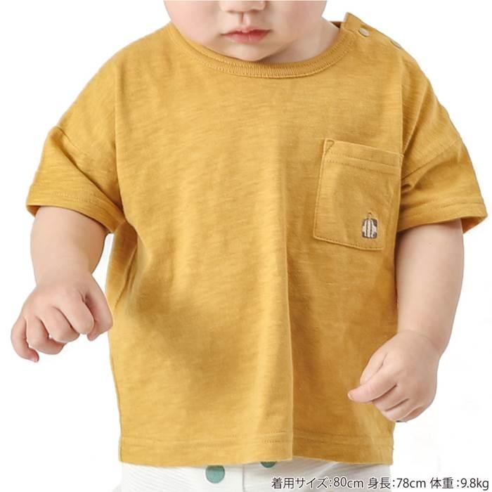 子供服 キムラタン Piccolo（ピッコロ） 半袖Ｔシャツ (70〜95cm)  男の子 70cm 80cm 90cm 95cm 綿100% ［アウター］｜baby-kids-kimuratan｜09