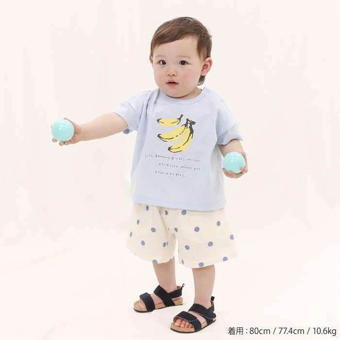 子供服 キムラタン Piccolo (ピッコロ ) 半袖Ｔシャツ (70〜90cm) ［アウター］｜baby-kids-kimuratan｜11