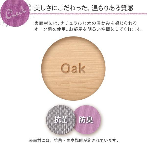 デザインフロアベッド ダブルサイズ【Lani-ラニ-】フレーム単品