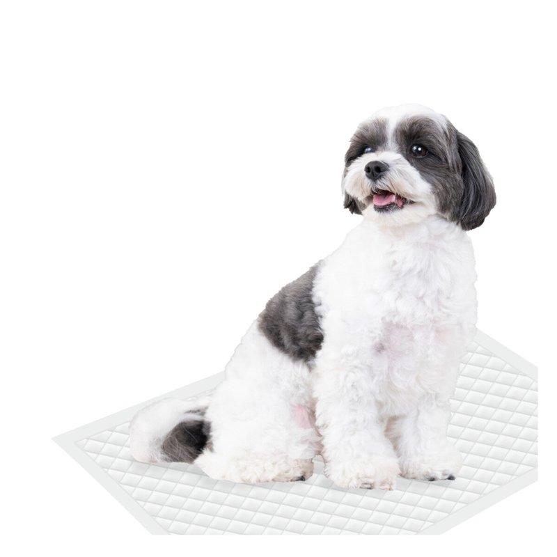 ☆☆☆大容量300枚入り☆☆☆小型犬用ペットシーツ(33cm x 45cm) 大容量300枚入り小型犬用ペットシーツ(33cm x 45cm) 【公式通販】