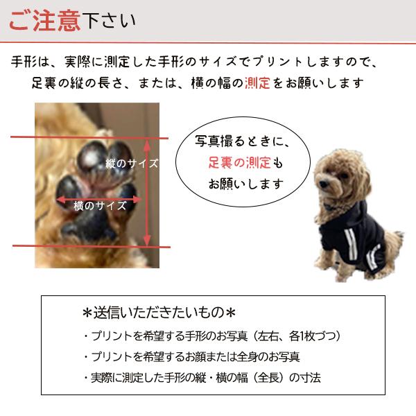 命名書 オーダー 手形 足形 キット付 写真入 仔犬 成長記録 メモリアル