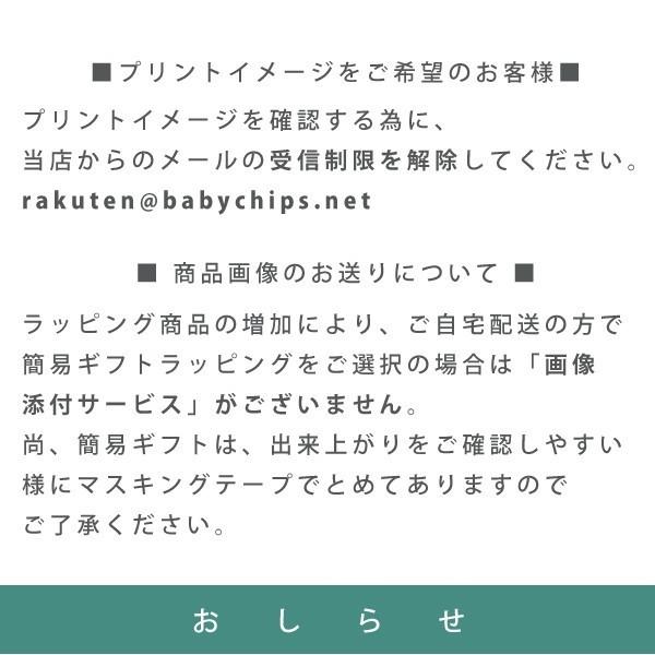 メール便送料無料 命名書 菖蒲 キャンバスフレーム 出産祝い 初節句 端午の節句 誕生日 写真立て 額付 端午 Canvas C003 01 ベビーチップス 通販 Yahoo ショッピング