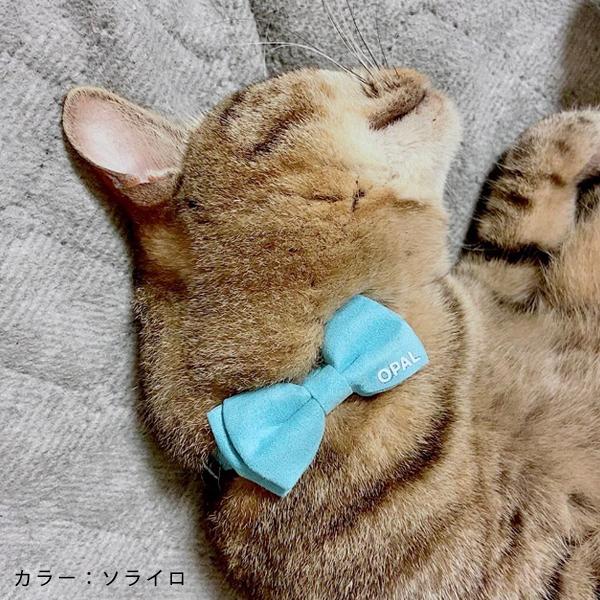 名入れ ペット用 首輪 鈴付き リボン 猫の日 ネコの日 ねこの日 ねこの