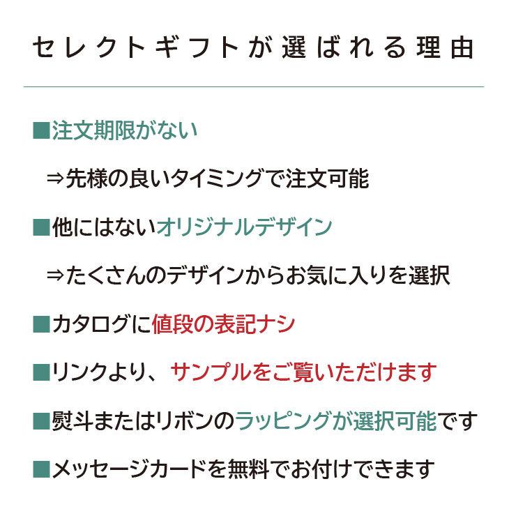 送料無料 セレクトギフトCの画像